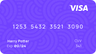 Visa card preview